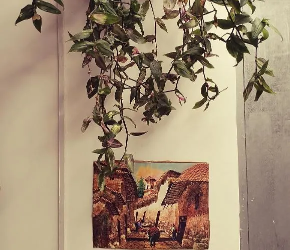 El Hijo Del Sol Hotel *
